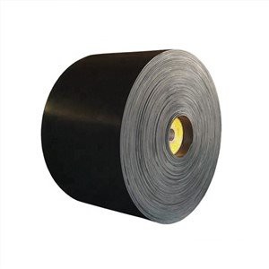 Endless Conveyor Belt